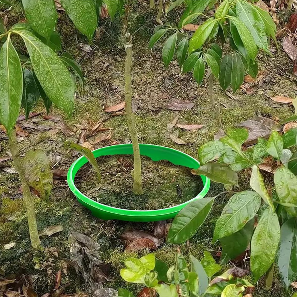Gardening Tools Deals - 【GERİ SAYIM FIRSATI】 Kök Sulama ve