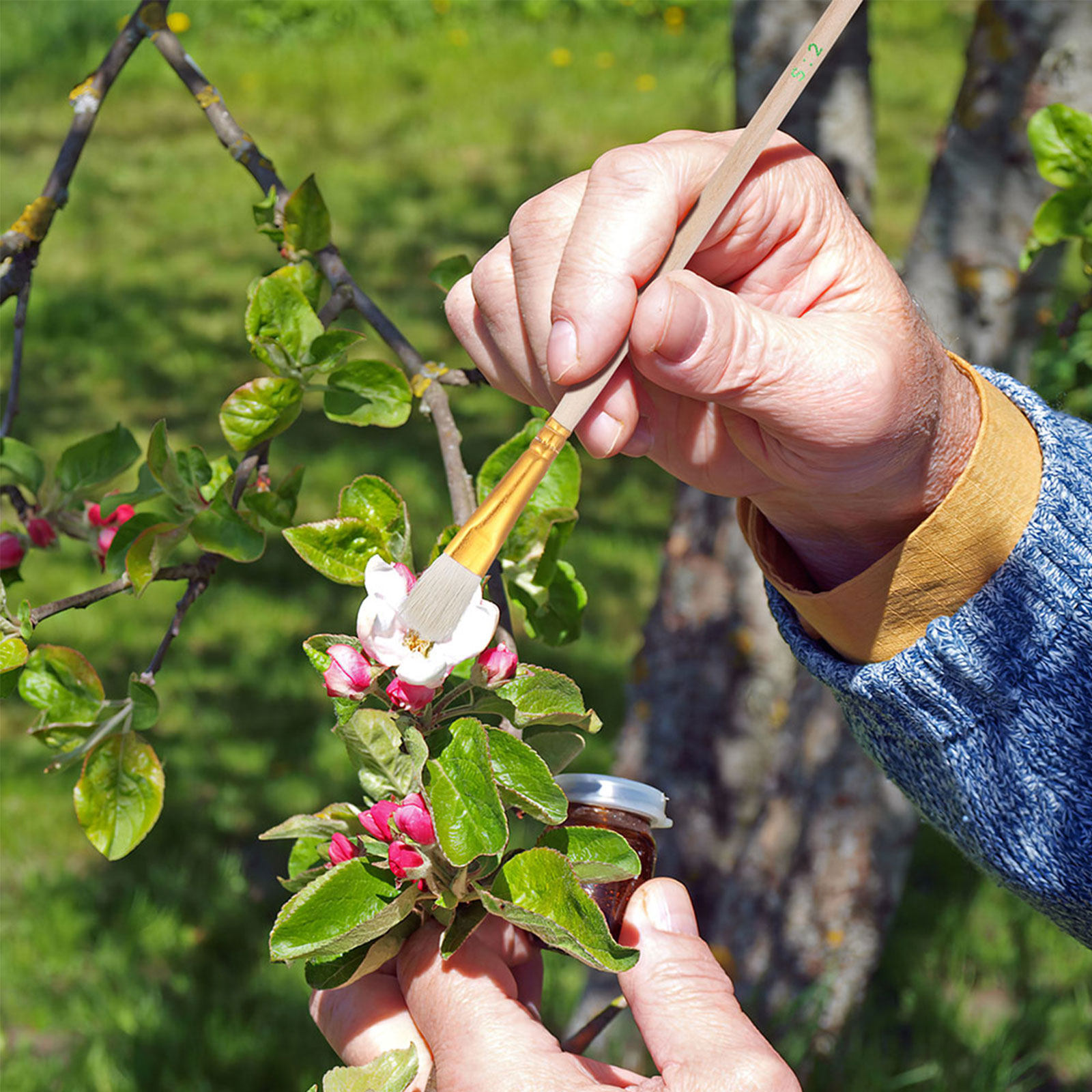 Gardening Tools Hand - 16 Parça Çiçek Tozlayıcı Fırça Seti