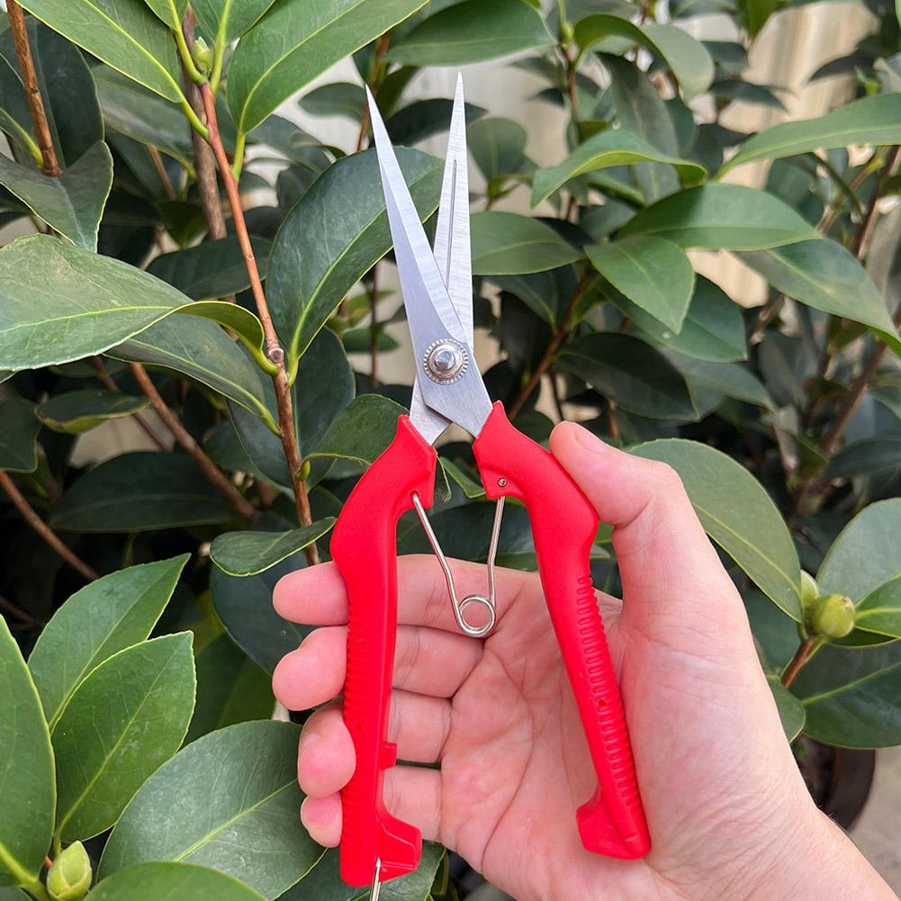 Gardening Tools Hand - Pro Garden Budama Makası Uzatılmış Ağaç