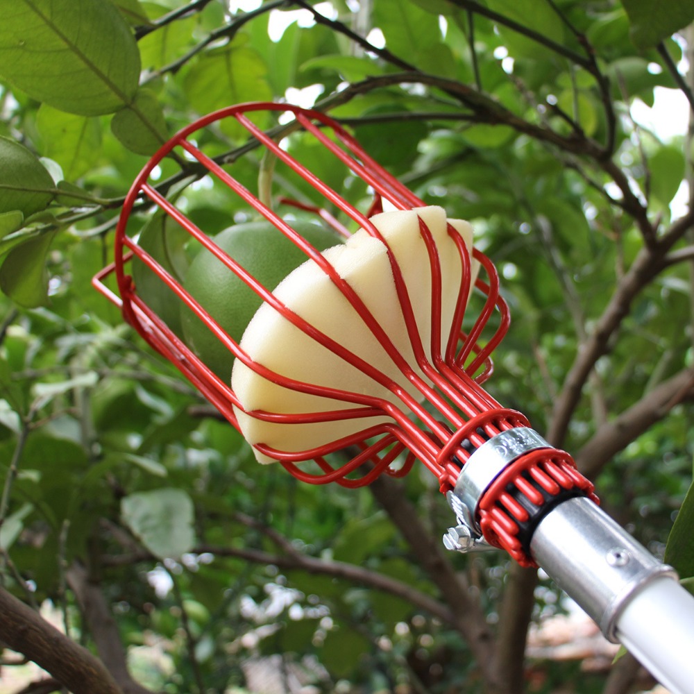 Gardening Tools Hand - Metal/Plastik Meyve Toplama Başlığı, Saplı Olmayan