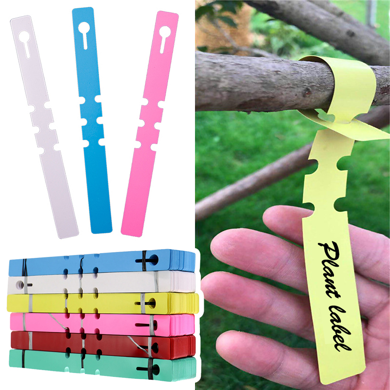 50 adet Su Geçirmez Bitki İşar - Gardening Tools Labeled incelemesi ve fiyatı