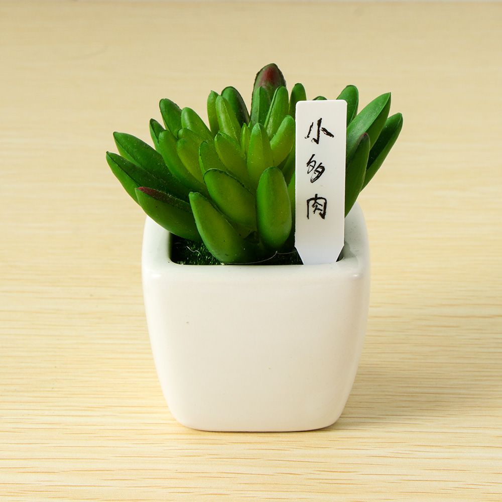 100 Adet Mini Plastik Bitki To - Gardening Tools Labeled incelemesi ve fiyatı