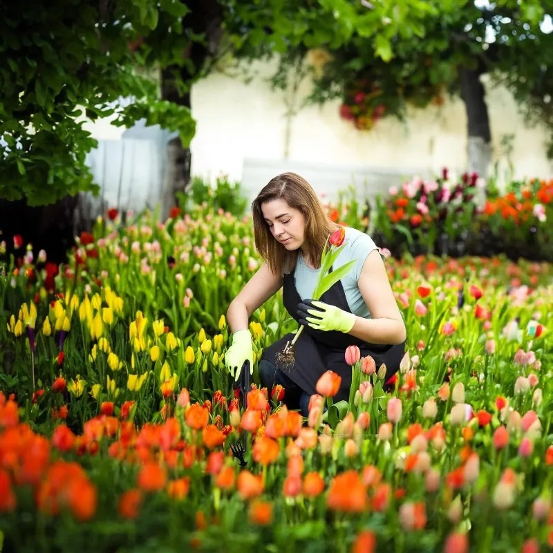 2'si 1 Arada Bahçe Tırmığı Man - Gardening Tools For Weeds incelemesi ve fiyatı
