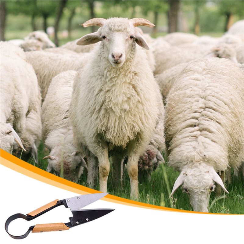 【FLAŞ FIRSAT】Ağır Hizmet Tipi  - Gardening Tools Deals incelemesi ve fiyatı