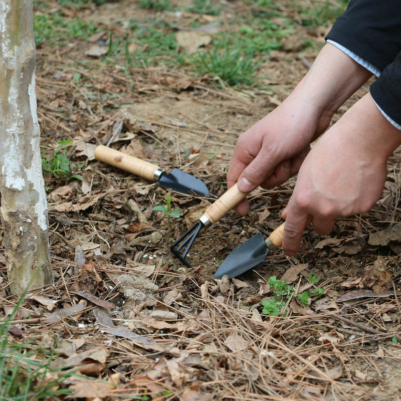 3 adet/takım Mini Bahçe Alet S - Gardening Tools For Weeds incelemesi ve fiyatı