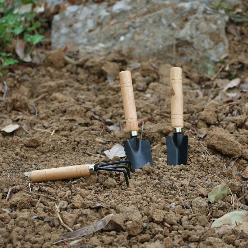 3 adet/takım Mini Bahçe Alet S - Gardening Tools For Weeds incelemesi ve fiyatı