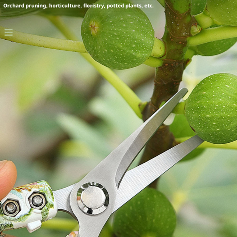 3Cr13 Paslanmaz Çelik, Bahçe B - Gardening Tools Pink incelemesi ve fiyatı