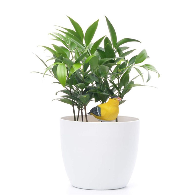 8X Toprak Nem Ölçer Sulama Ala - Gardening Tools Yellow incelemesi ve fiyatı