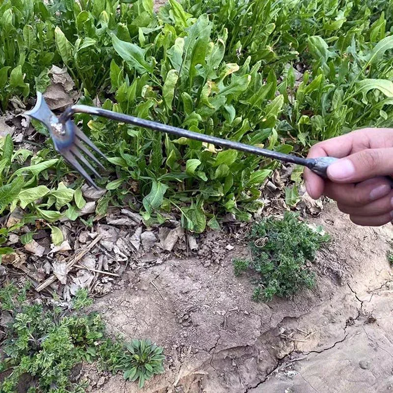Bahçe Çapalayıcıları Çim El Ça - Gardening Tools For Weeds incelemesi ve fiyatı