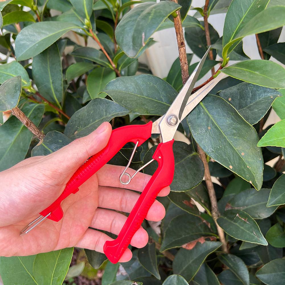 Pro Garden Budama Makası Uzatı - Gardening Tools Hand incelemesi ve fiyatı
