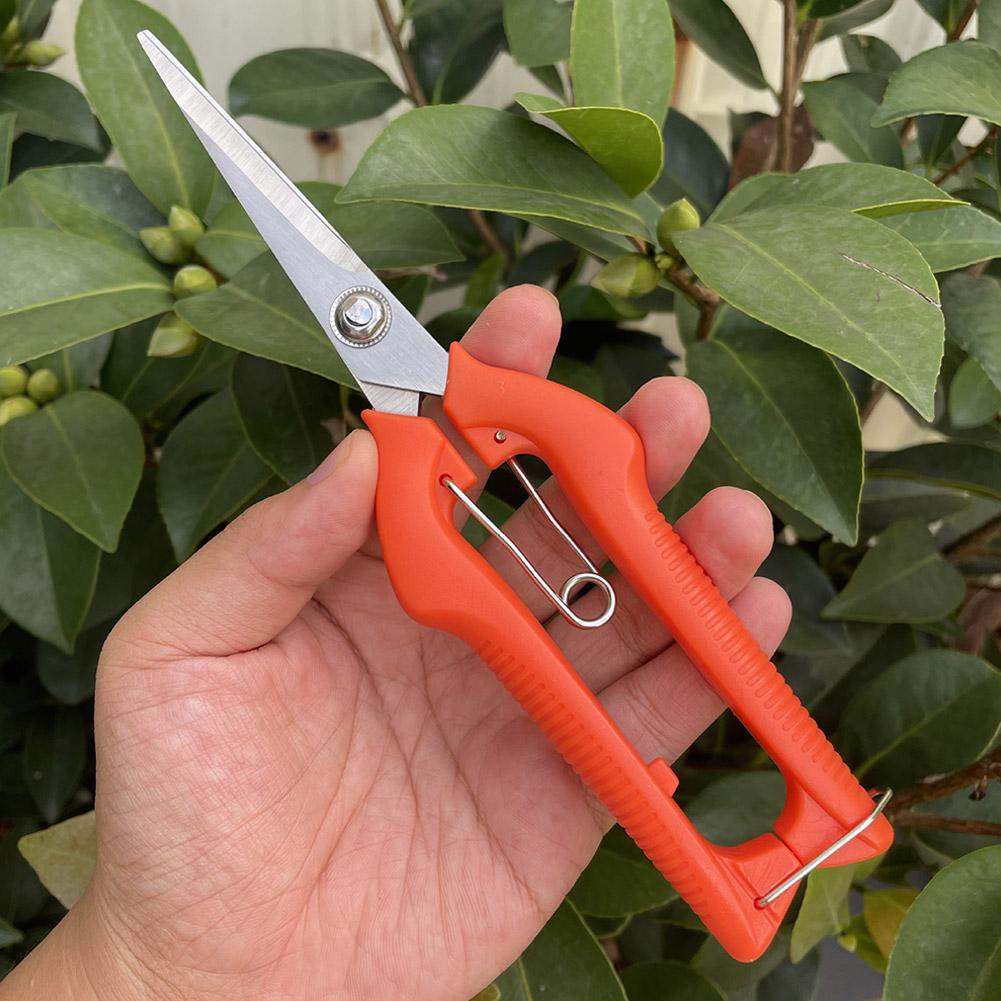 Pro Garden Budama Makası Uzatı - Gardening Tools Hand incelemesi ve fiyatı