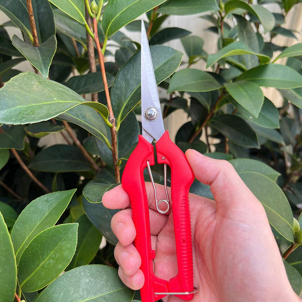Pro Garden Budama Makası Uzatı - Gardening Tools Hand incelemesi ve fiyatı