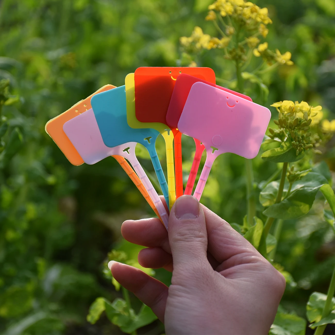 50 adet su geçirmez bahçe tesi - Gardening Tools Labeled incelemesi ve fiyatı