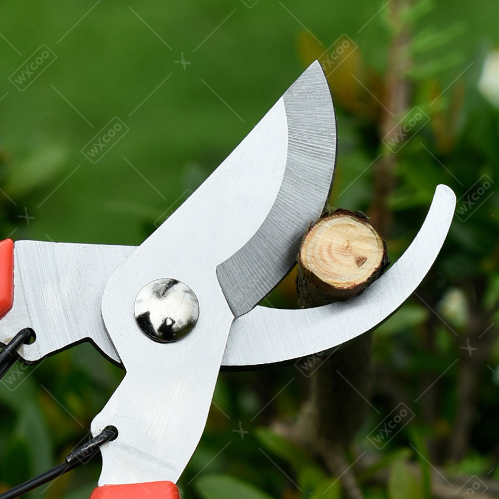 Profesyonel Bahçe Makası Budam - Gardening Tools Pink incelemesi ve fiyatı