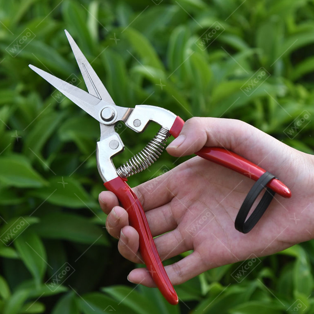 Profesyonel Bahçe Makası Budam - Gardening Tools Pink incelemesi ve fiyatı